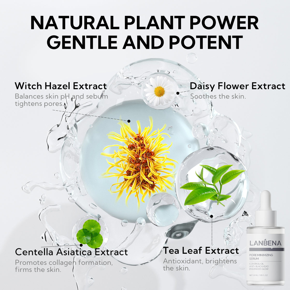 LANBENA Nose Plants Pore Strips_Deep Clean & Remove Blackhead